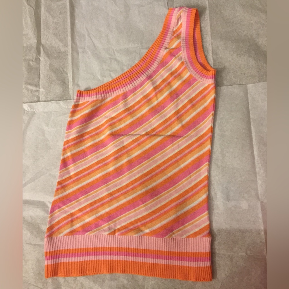 Bebe Multicolor Striped Knit Top